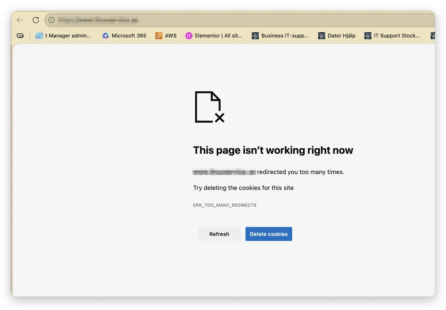 Webbläsaren visar felet ERR_TOO_MANY_REDIRECTS – Apache på Amazon Linux, Business IT Support
